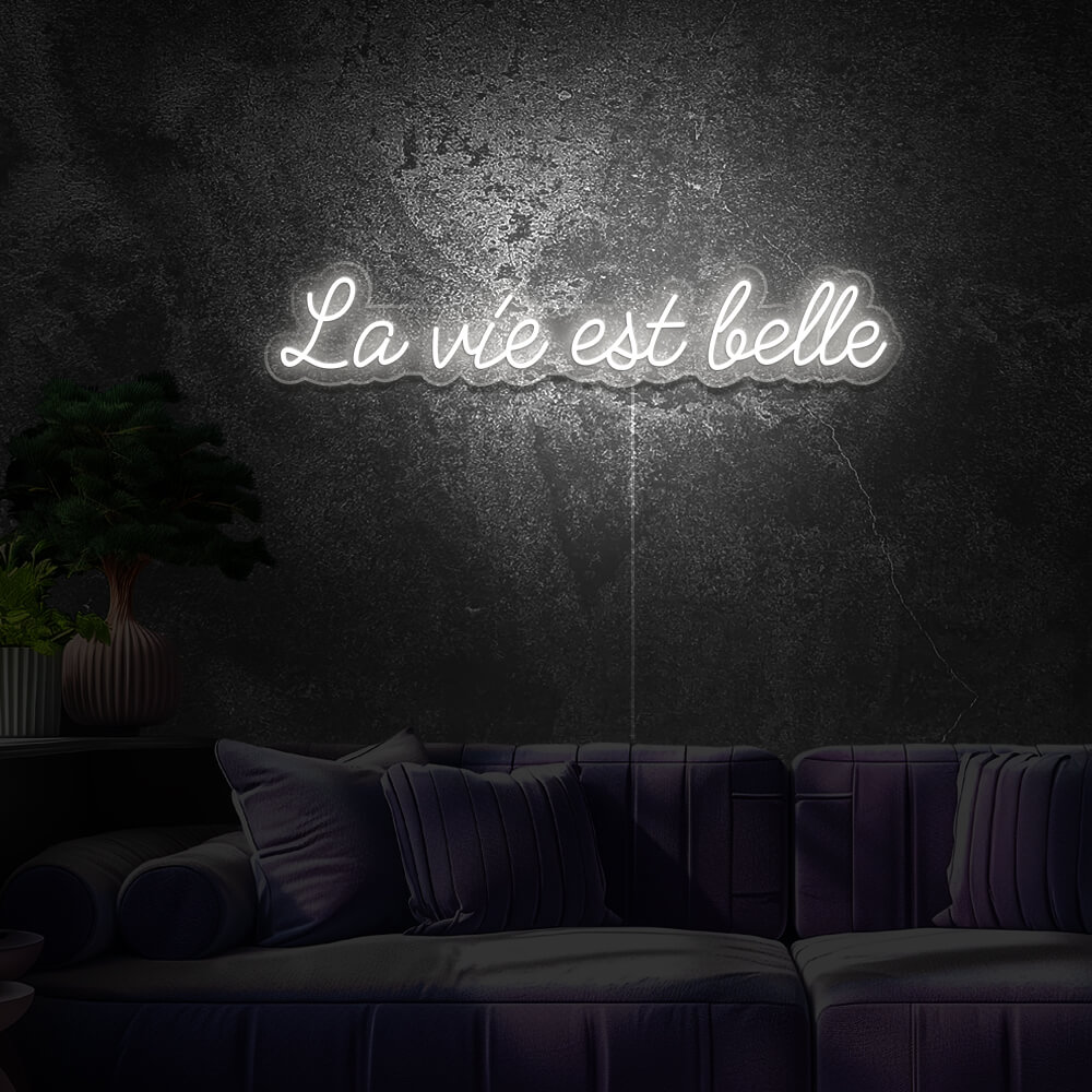 neon-la-vie-est-belle-amour-led-Blanc Froid