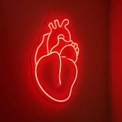 Coeur humain rouge en néon led
