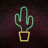 Le cactus néon le plus piquant.
