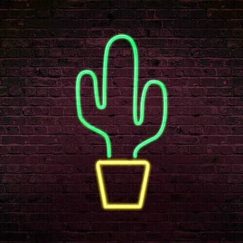 Le cactus néon le plus piquant.