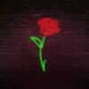 Une rose comme preuve d'amour et en plus celle ci ne fane pas.