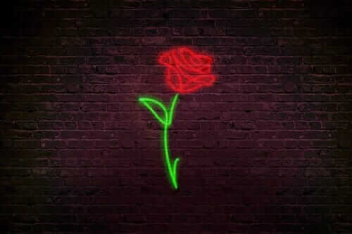 Une rose comme preuve d'amour et en plus celle ci ne fane pas.