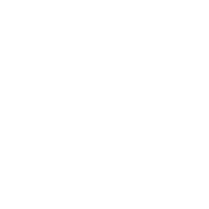 ico genie 2 personnaliser