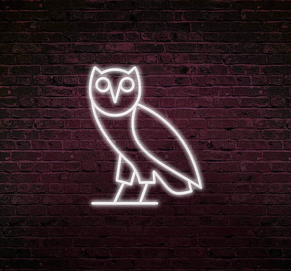 Qui dit rap dit drake avec ce magnifique hibou lumineux.