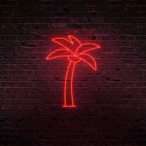 Pour tous les fans de palmier, voici le palmier néon