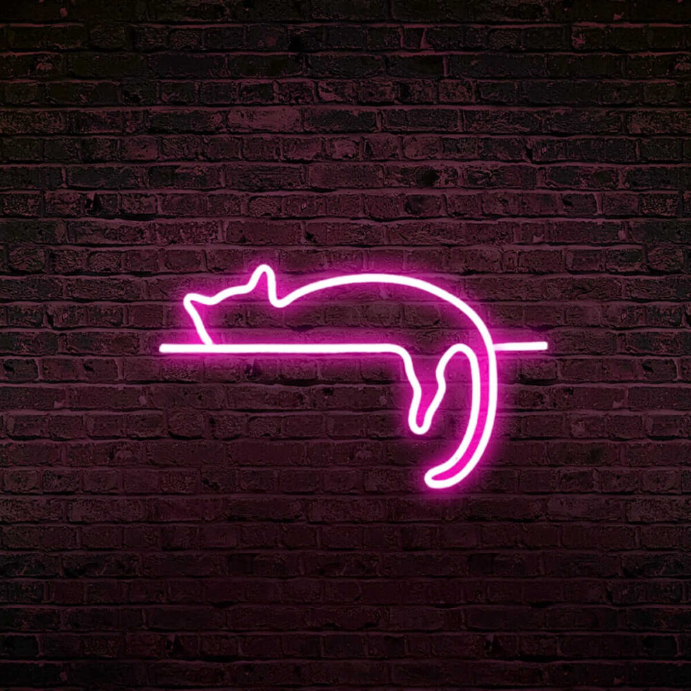 Chat qui dort en lumière neon led