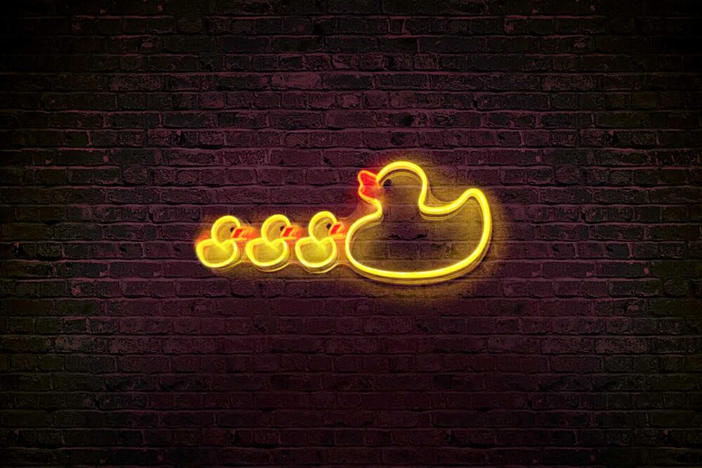 Famille canard en neon led