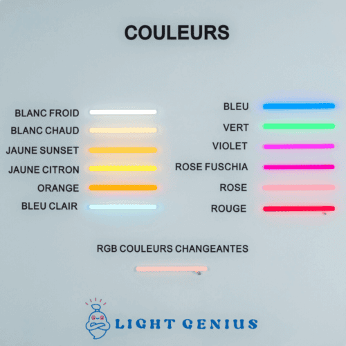 palette-couleurs-neon-light-genius-gris